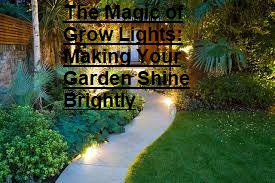 The Magic of Grow Lights: Making Your Garden Shine Brightly