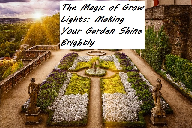 The Magic of Grow Lights: Making Your Garden Shine Brightly